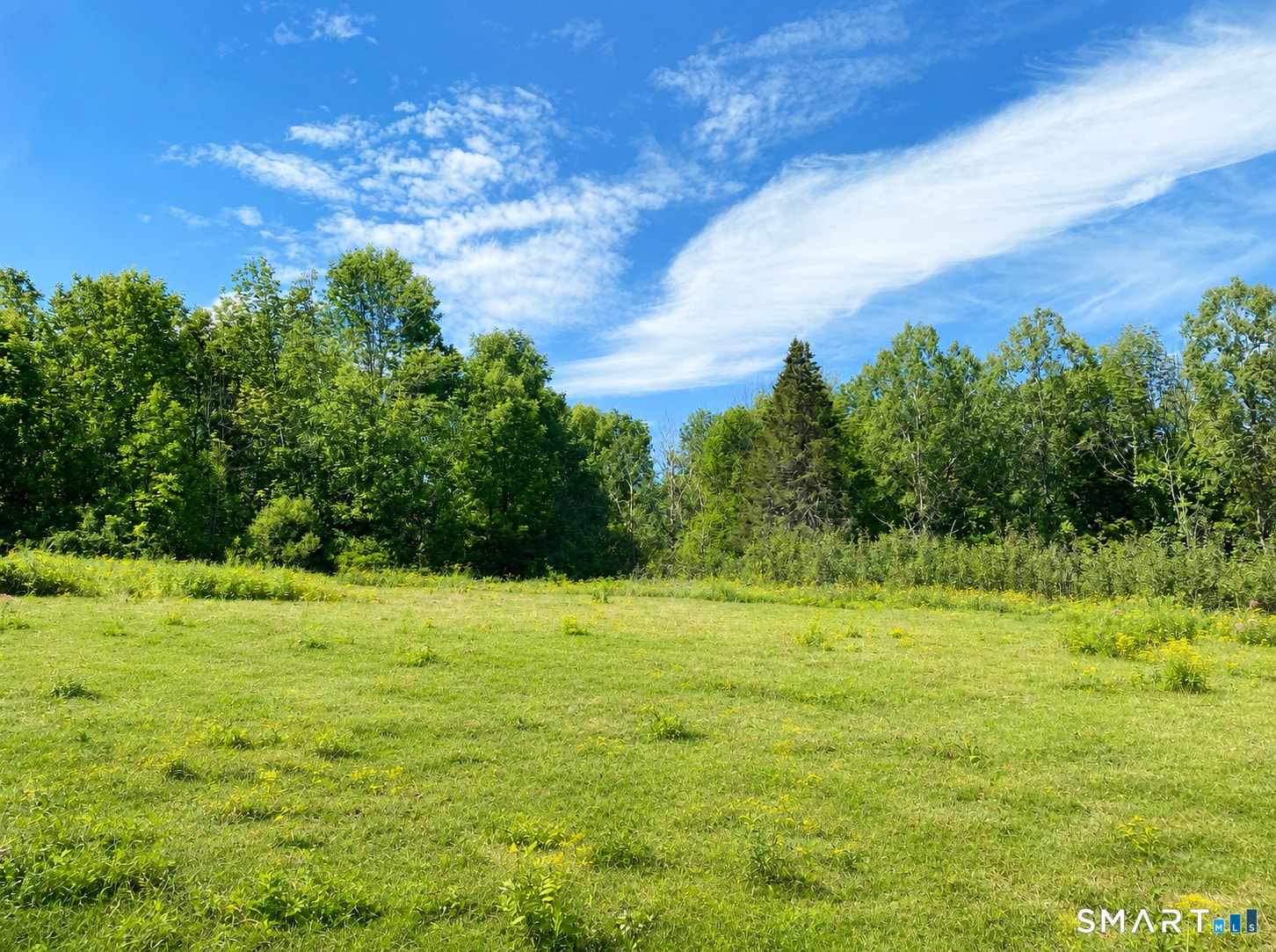 00 Colebrook Road, Colebrook, CT — open meadow with mature woodland